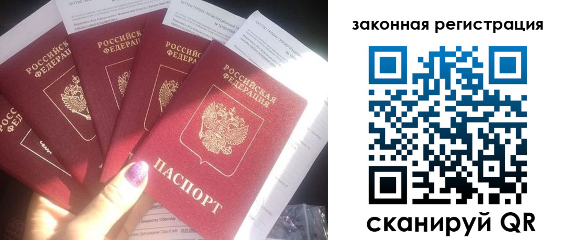 временная регистрация гарантия в Тимашёвске